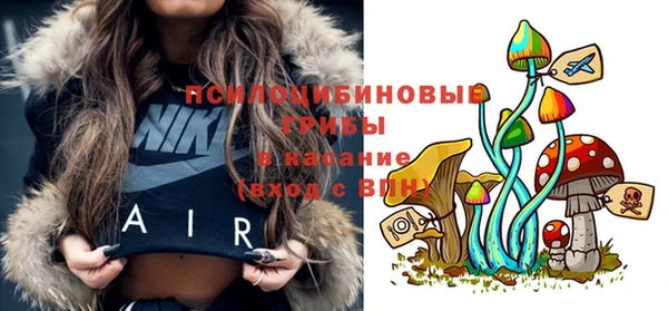 гашиш Белокуриха
