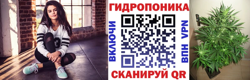 Конопля гибрид ОМГ ОМГ сайт Шелехов